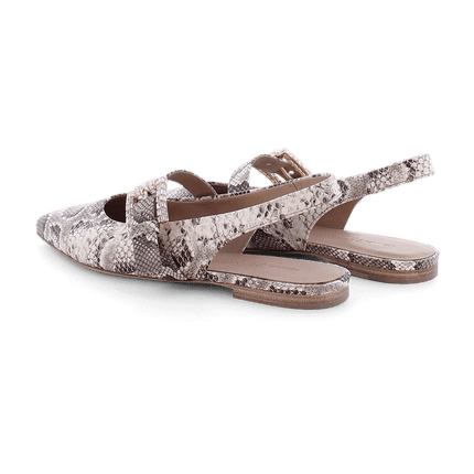 Kennel and Schmenger  Greta Snakeskin Shoe flat shoe with jewel buckle